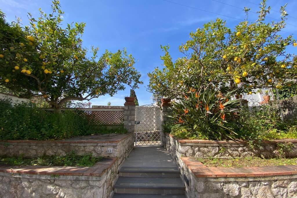 I Limoni Capri Apartment Luaran gambar